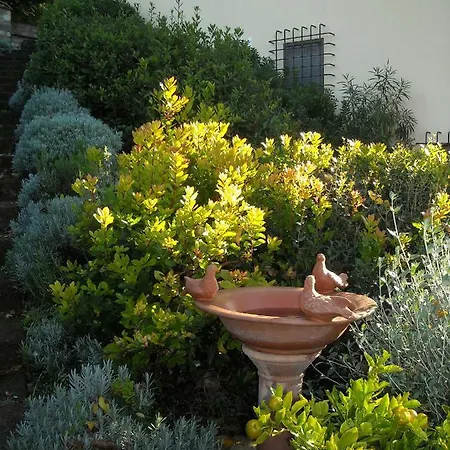 Country house Torre Antica